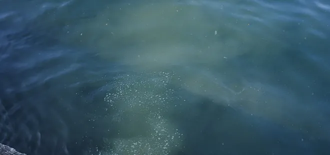 İstanbul’un göbeğinde denize akan kanalizasyon: Kahverengiye dönmeye başladı