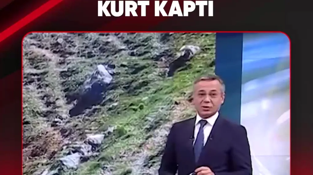 SÜRÜDEN AYRILDI KURT KAPTI