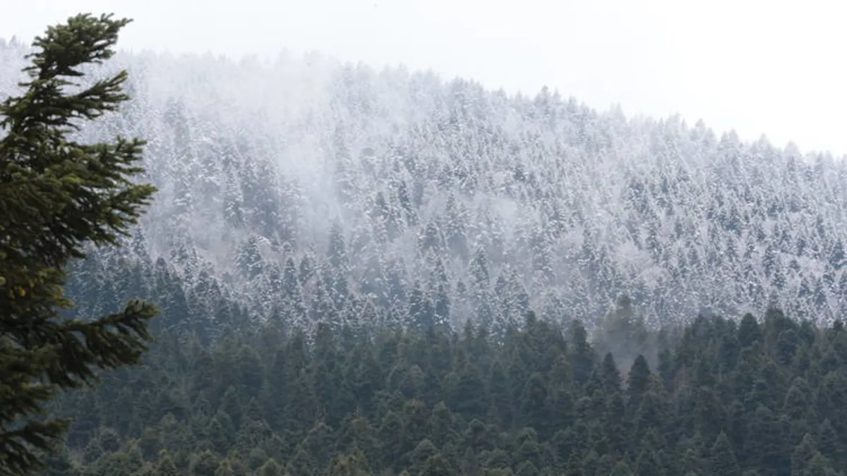 Bolu'nun yüksek kesimlerine kar yağdı