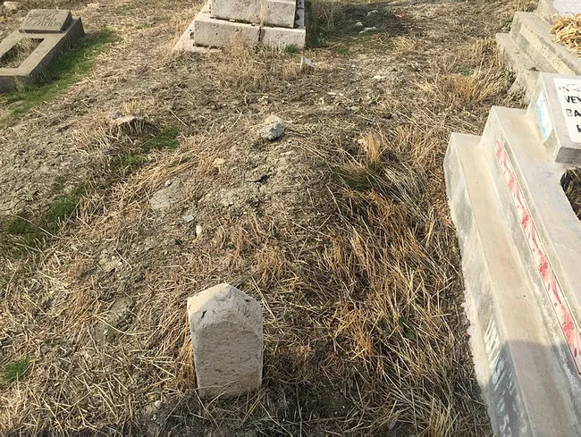 Malatya'da esnafın ağzını açık bırakan olay! Mezar başında keman çaldırdı - 5