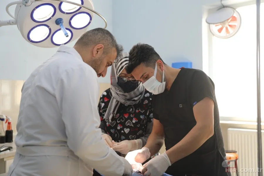 Iğdır’da hayrete düşüren olay! Kuzu 5 bacaklı dünyaya geldi... Ameliyat edildi 2