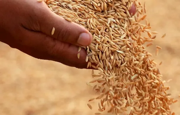 baskan-recep-tayyip-erdogandan-kabine-toplantisi-sonrasinda-canli-yayinda-son-dakika-aciklamalari-yeni-koronavirus-tedbirleri-alindi-mi-1630949731445.jpg Başkan Recep Tayyip Erdoğan'dan Kabine Toplantısı sonrasında canlı yayında son dakika açıklamaları! Yeni koronavirüs tedbirleri alındı mı? - 14