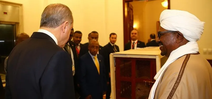 Cumhurbaşkanı Erdoğan'a hediye edilen aslanlar Gaziantep'teki yuvalarına yerleştirildi