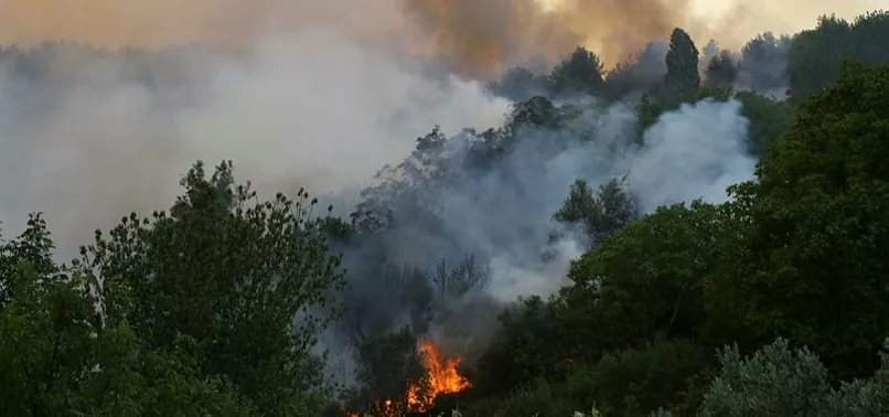 Gündoğmuş'ta 9 helikopterle yangına müdahale ediliyor! Antalya Belediye Başkanı Muhittin Böcek'e Dışişleri Bakanı Çavuşoğlu'ndan yanıt