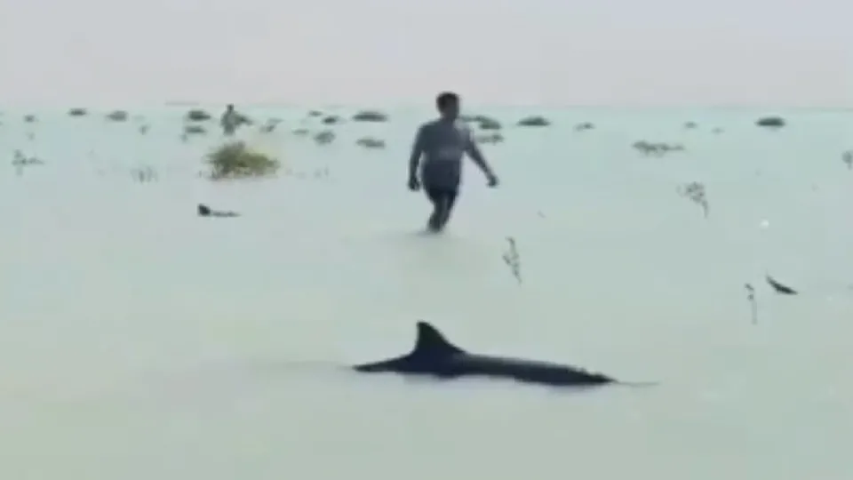 Onlarcası mahsur kaldı! O anlar kamerada