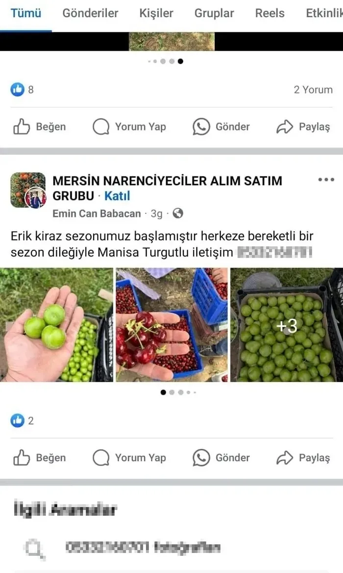 Sebze-meyve ilanlarıyla sosyal medyada milyonluk vurgun - 1