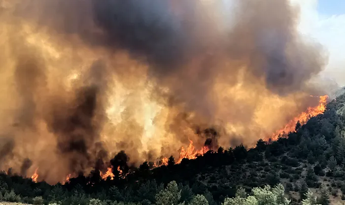 İspanya ve Portekiz orman yangınlarını söndürmek için seferber oldu - 1