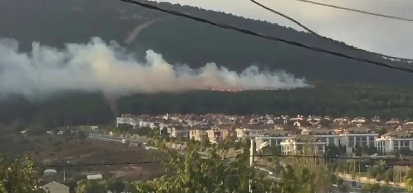 Son dakika: Pendik Kurtköy'de orman yangını