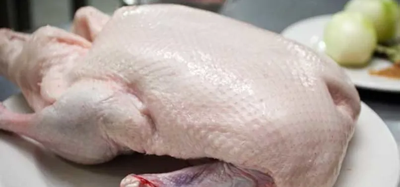 Tavuk eti üretimi azaldı, yumurta üretimi arttı