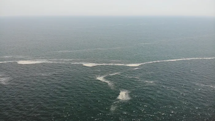 İstanbul’da müsilaj etkisini sürdürüyor! Avcılar Sahili’ni de kapladı