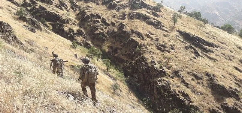 Hakurk'ta etkisiz hale getirilen 5 teröristten 1'inin kırmızı bültenle arandığı ortaya çıktı