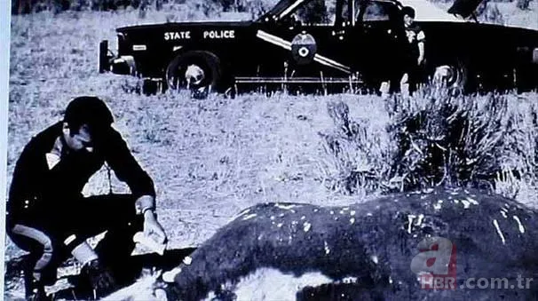 NASA'dan uzaylı itirafı 21