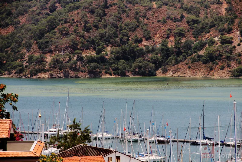 Fethiye Körfezi'nde alarm! Sarı ve yeşile büründü 1