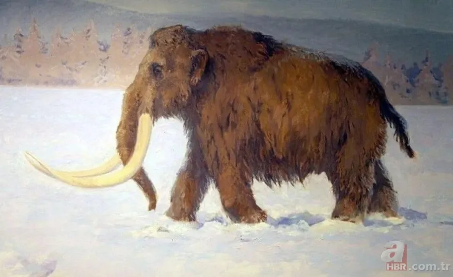 Bilim dünyasında şoke eden gelişme! Nesli tükenen dev canlı geri geliyor 7