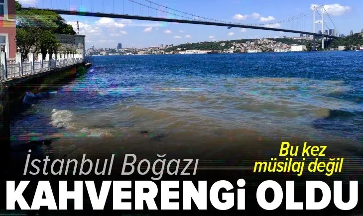 son dakika istanbul bogazi simdi de kahverengi oldu bu kez musilaj deniz salyasi degil