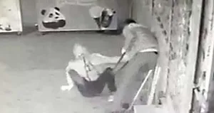 Çaylak hırsızlar kamerada!