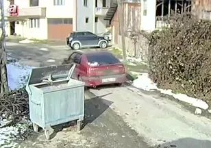 Köpeği ezen sürücü yakalandı