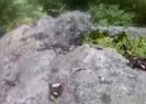 Kendisine saldıran yılanı kayıt altına aldı