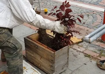 Edirne'de vatandaş kabusu yaşadı! Binlercesi aynı anda...