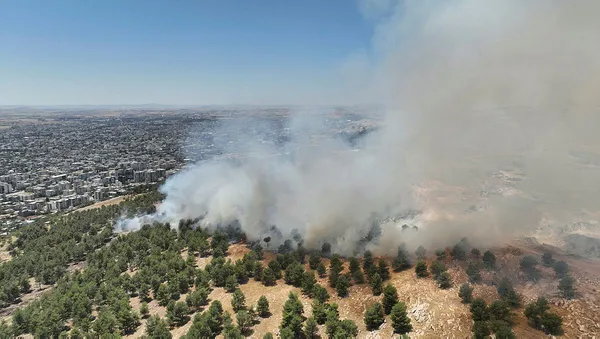 Adıyaman'da orman yangını paniği! Kontrol altına alındı - 2