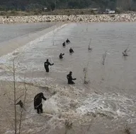 Hortumun dereye uçurduğu otomobildeki Buse Acar aranıyor
