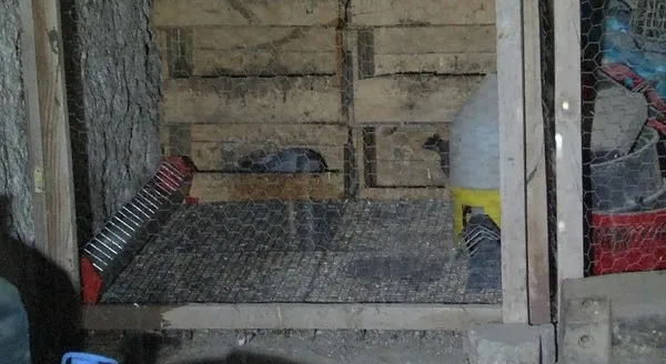 1714015077874.jpeg Elektrik kaçağı müstakil evi küle çevirdi - 3