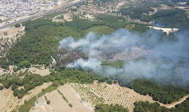 İzmir'de orman yangını! - 2