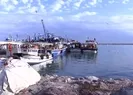 Balon balıkları Kızıldeniz’e kaçtı