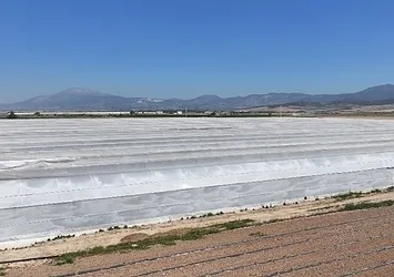 Denizli’de serada çalışan 26 işçi zehirlendi