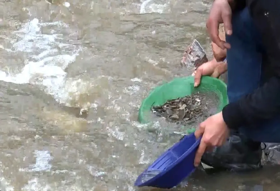 izmirde-derede-altin-aradilar-iste-sonuc-beklediklerine-degdi-1774784663124.jpeg Fotoğraf: DHA