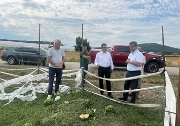 Serik'te doludan zarar gören tarım alanlarında hasar tespit çalışmaları