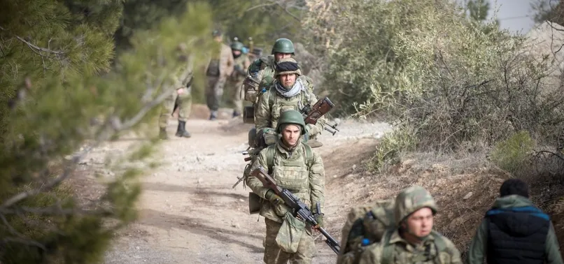 Afrin operasyonu için hangi ülke ne dedi?