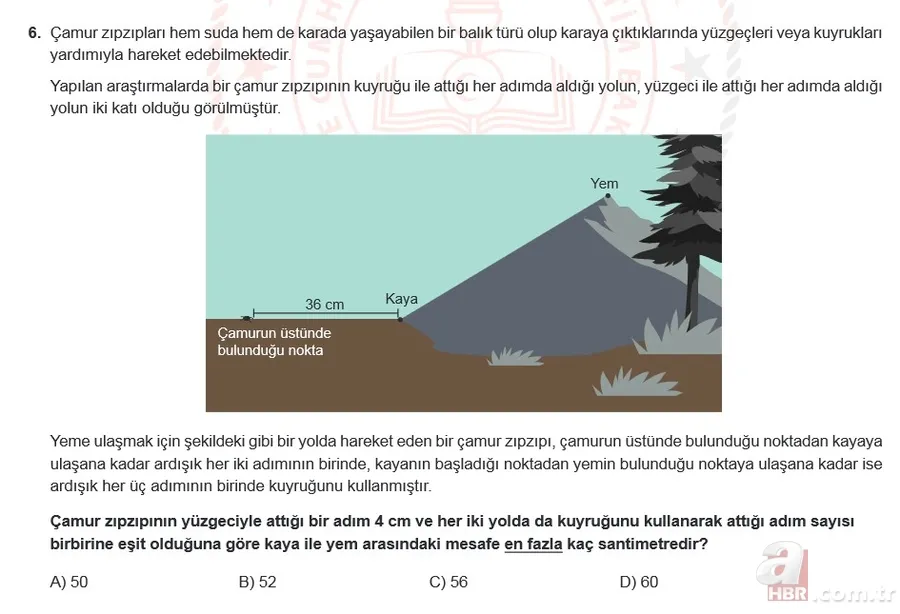 Mart ayı LGS örnek sorular listesi yayımlandı! MEB 2021 LGS sayısal - sözel örnek sorular ve cevap anahtarı 8