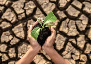 Dünya kuraklığa gidiyor! 2025 raporu yayınlandı: Kritik Türkiye uyarısı