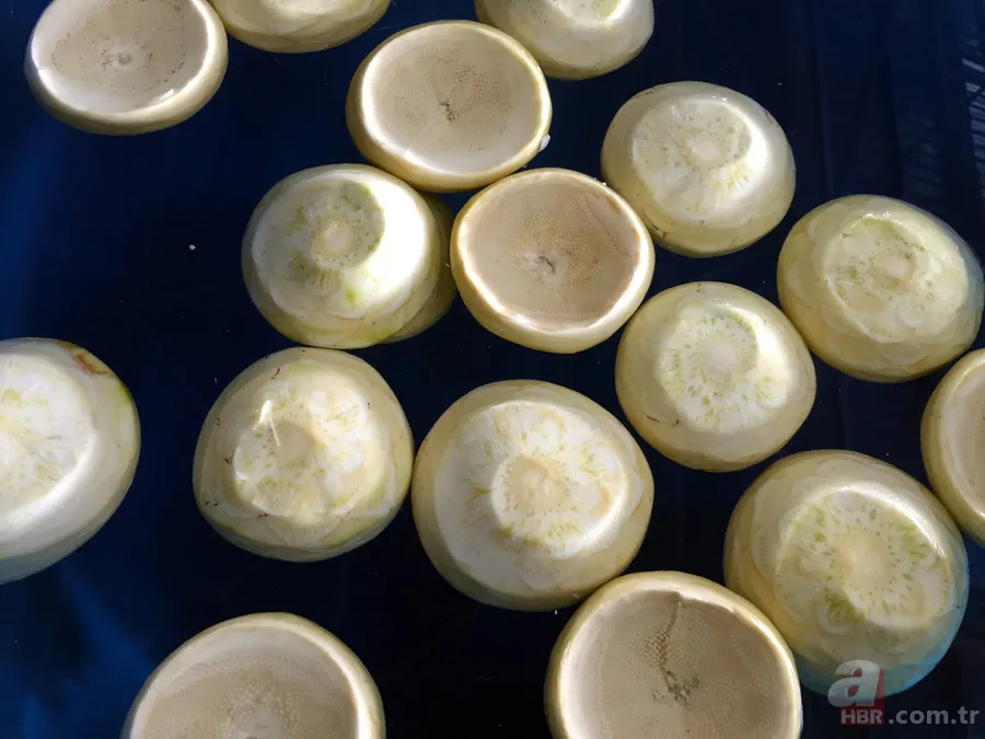 Resmen altın değerinde: Fiyatını duyan tarlasına koşuyor! Soğan salatalığı bırakıp bunu ekiyor 6