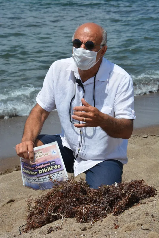 Son dakika: Marmara'daki deniz salyasından sonra kıyılarımızdaki yeni tehlike: İzmir'de Sargassum istilası