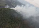 Muğlada orman yangını