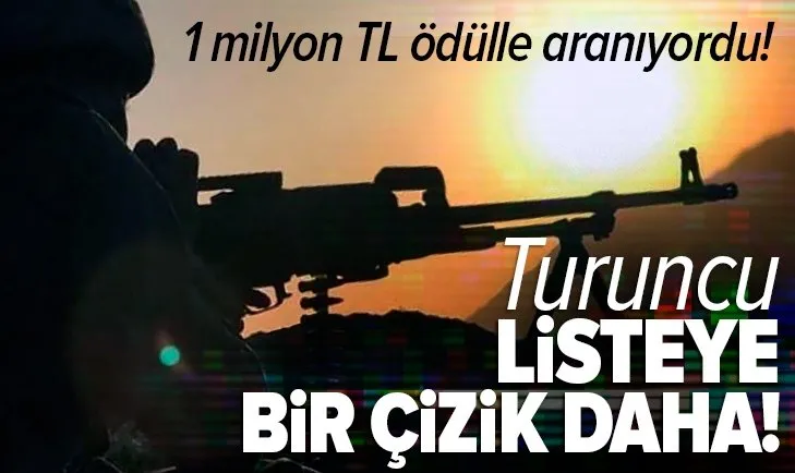 1 milyon TL ödülle aranıyordu! Turuncu listedeki terörist etkisiz hale getirildi!