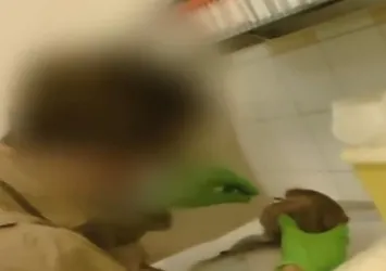Deney değil işkence! Kafasına çubuk sokup...