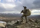 Mehmetçikten kış temizliği