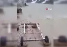 Yüksekovada dere taştı: Ahırları su bastı