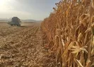 Bakan Albayrak duyurmuştu! İthal üründe yeni dönem...