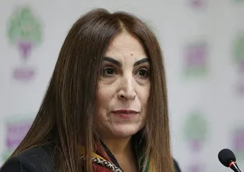 HDP'li Aysel Tuğluk adliyeye sevk edildi