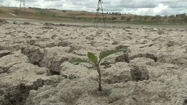 İstanbul’un barajları kurudu! Su seviyesi yüzde 20’nin altında
