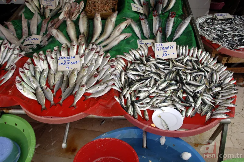 Balık fiyatları ne zaman düşer | Halden tezgaha bölge bölge fiyatlar değişiyor 3