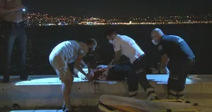 Kardeşlerin kabus gecesi!