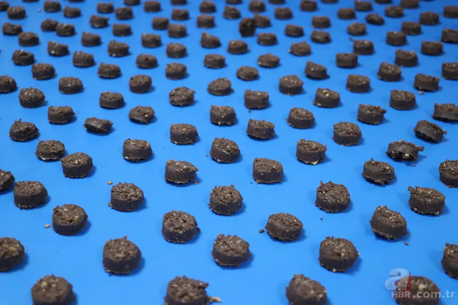 200 milyon TL devlet desteğiyle kuruldu! Kayseri'den 5 ülkeye ihraç ediyor 7