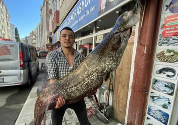 Tekirdağ'da görenleri şaşkına çeviren av!