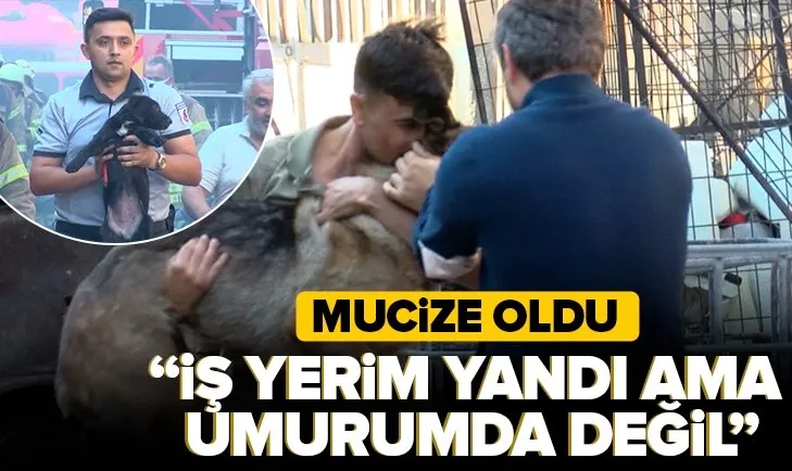 İkitelli’de fabrika yangını; anne köpek ve yavrusu alev alev yanmaktan kurtuldu
