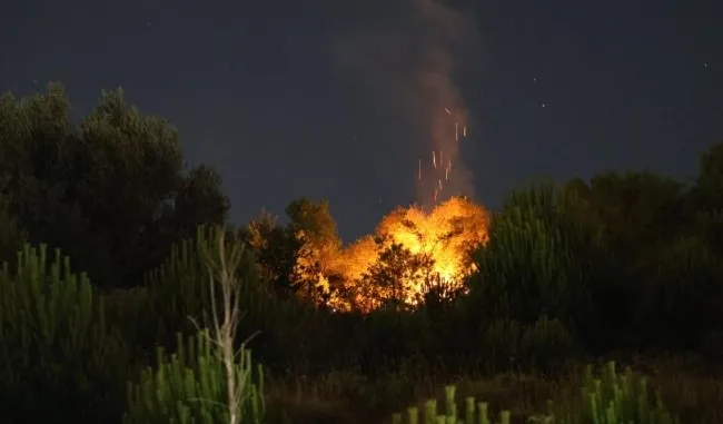 izmirde-yangin-alevlerle-mucadele-suruyor-bir-mahalle-bosaltildi-1718921438618.jpg İzmir'de 2 noktada yangın! Alevlerle havadan ve karadan mücadele | Bir mahalle boşaltıldı - 2